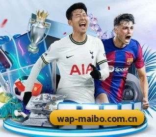 迈博体育官网的故事 - myballsports